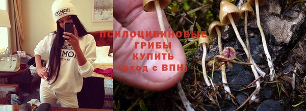 гашиш Алзамай