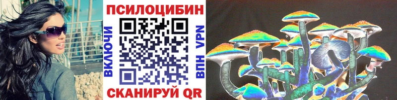 Псилоцибиновые грибы Cubensis  цены   Спасск 